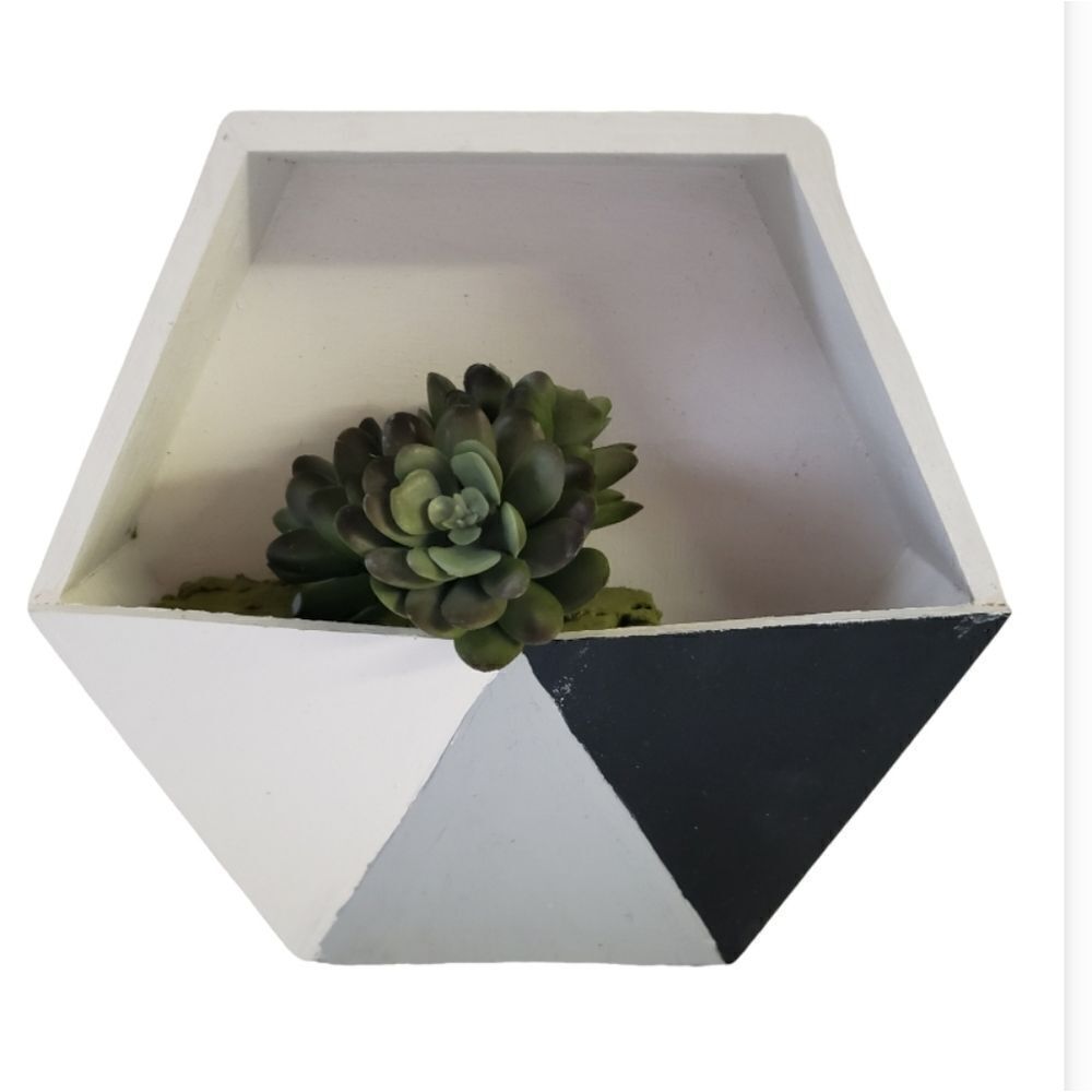 Handpainted Decorative Box w/Succulent
